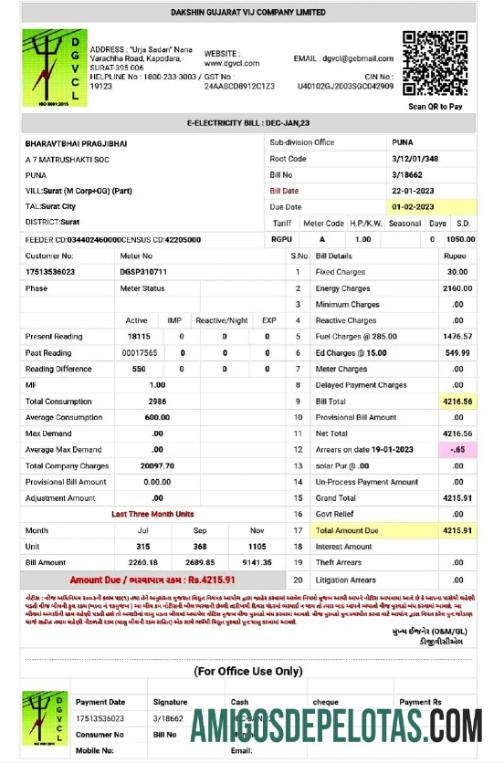 Realistis India DGVCL Tagihan Tagihan Word and PDF templat
