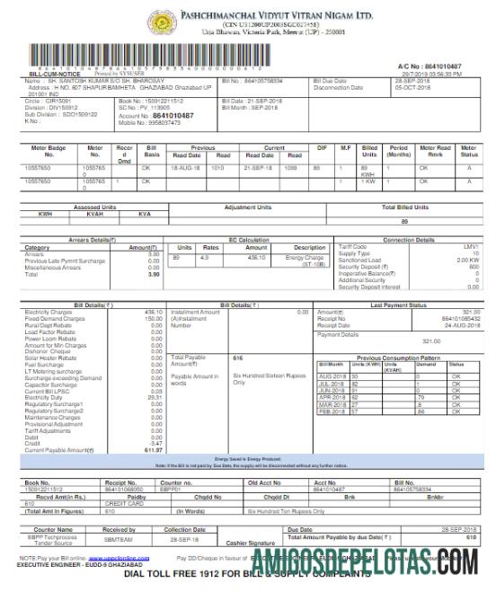 Premium India PVVNL Tagihan Tagihan Word and PDF templat