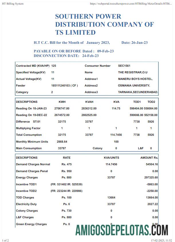 Premium India SOUTHERN POWER Tagihan Tagihan Word and PDF templat