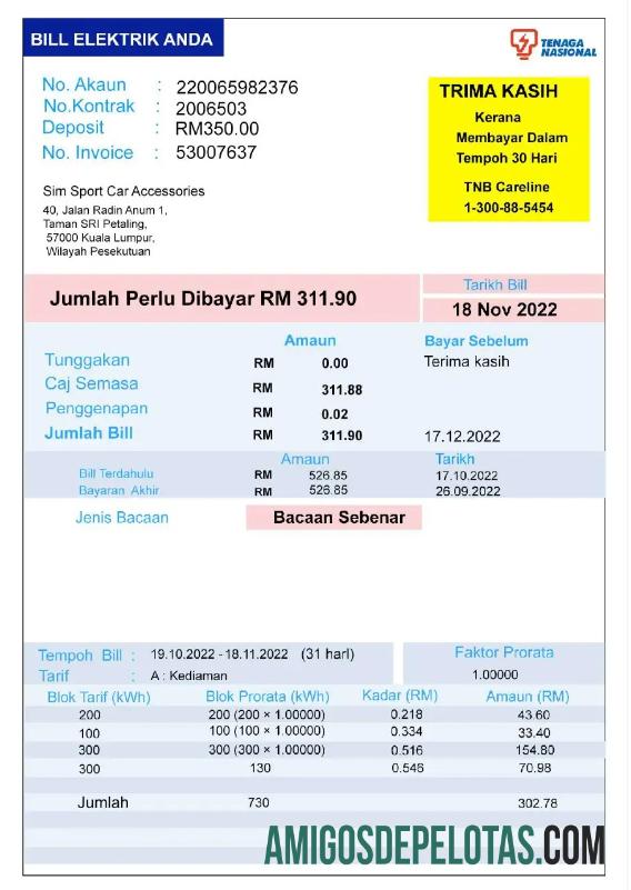 Profesional India TENAGA NASIONAL Tagihan Tagihan Word and PDF templat