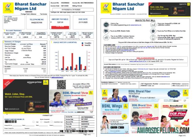 Dapat Diedit India Bharat Sanchar Nigam Limited Tagihan Tagihan templat in Word and PDF format, 2 pages