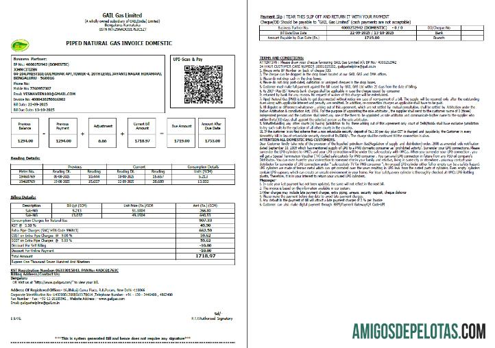 Berkualitas India Gail Gas Limited Tagihan Tagihan templat in Word and PDF format, 2 pages