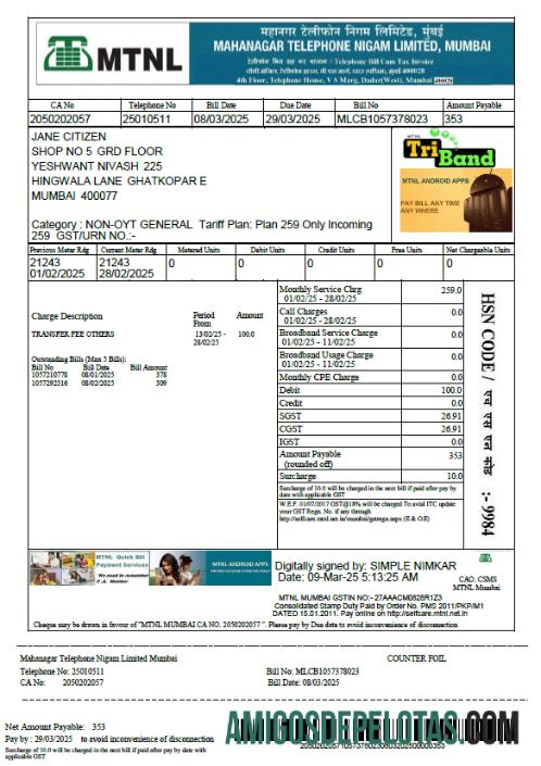 Profesional India Mahanagar Telephone Nigam Limited Tagihan Tagihan templat in Word and PDF format