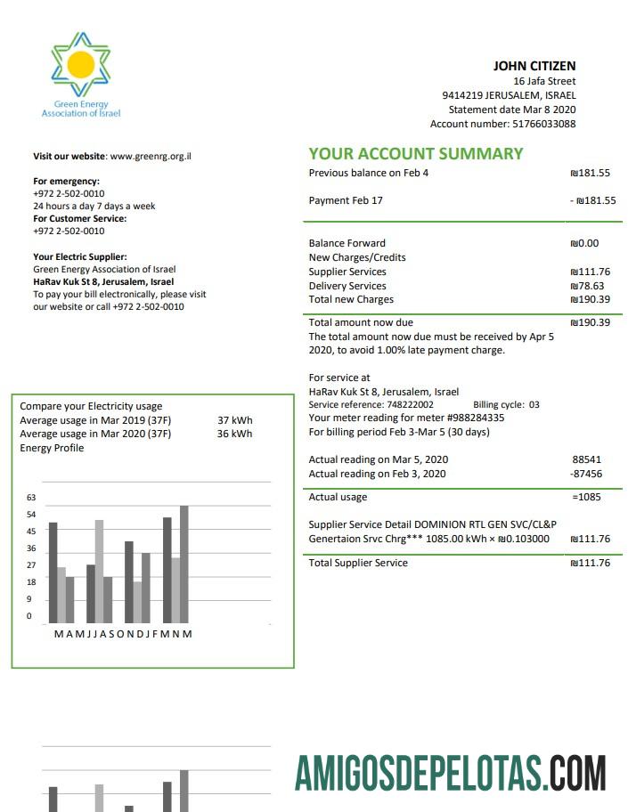 Premium Israel hijau Energy Association of Israel Tagihan Tagihan templat in Word and PDF format (doc)