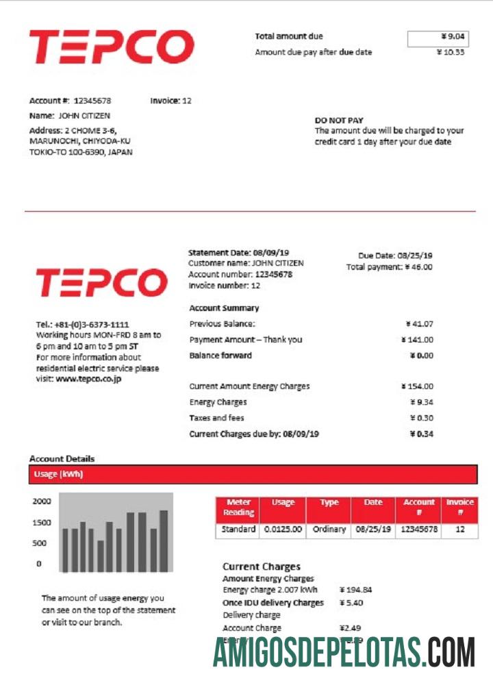Premium Jepang Tokyo Electric Power Perusahaan Listrik Tagihan Tagihan templat in Word and PDF format