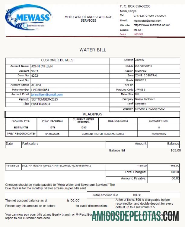 Profesional Kenya Meru Air and Sewerage Services Tagihan Tagihan templat in Word and PDF format