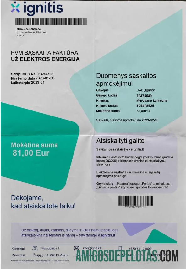 Premium LITVA IGNITIS Tagihan Tagihan Word and PDF templat