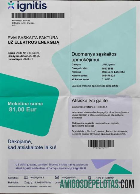 Lituania Ignitis Listrik Tagihan in PSD format pratinjau