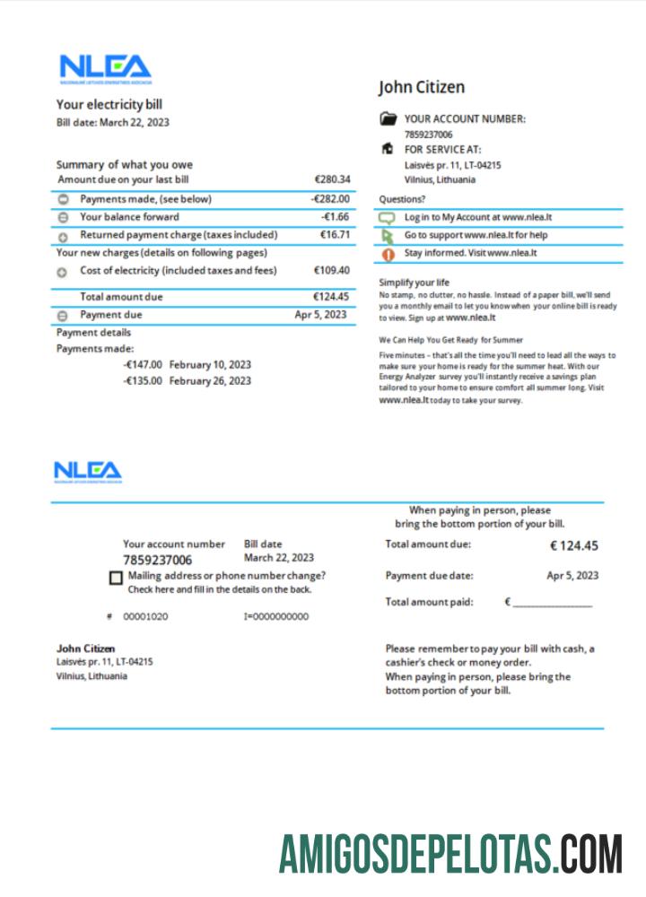 Dapat Diedit Lituania nasional Lithuanian Energy Association Tagihan Tagihan Word and PDF templat