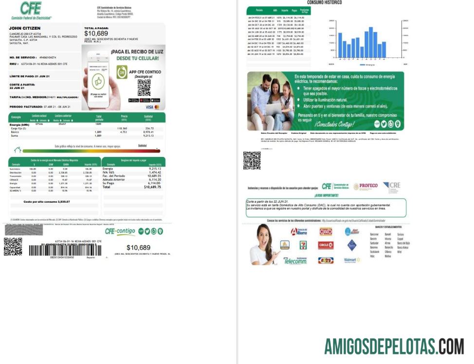 Profesional Meksiko Federal Listrik Commission (CFE) Tagihan Tagihan templat in Word format, 2 pages