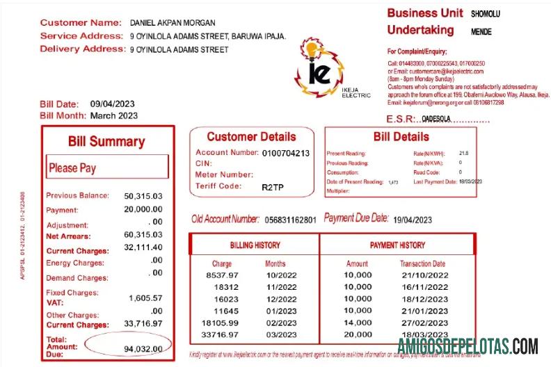 Profesional NIGEIA IKEJA Tagihan Tagihan Word and PDF templat