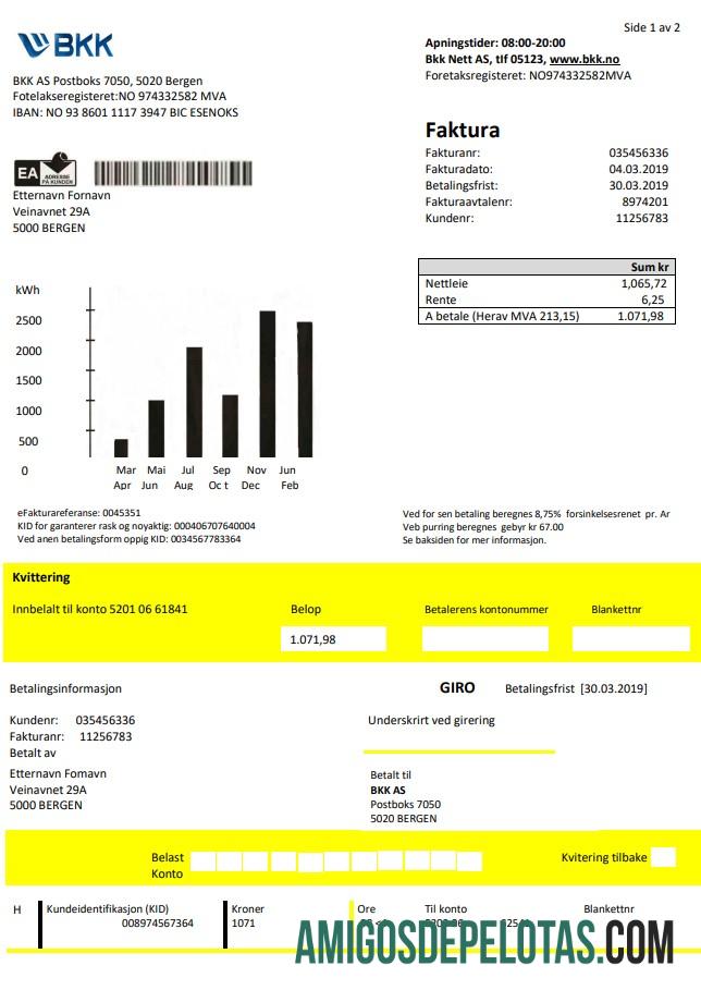 Premium Norwegia BKK Listrik Tagihan Tagihan templat in Word and PDF format, good for address prove