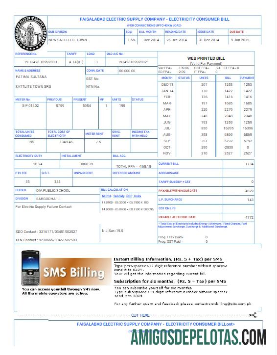 Berkualitas Pakistan FAISALABAD Tagihan Tagihan Word and PDF templat