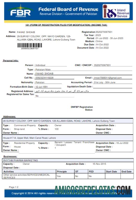 Realistis Pakistan FBR Tagihan Tagihan Word and PDF templat