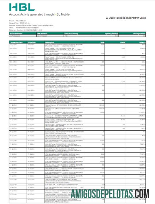 Berkualitas Pakistan HBL Tagihan Tagihan Word and PDF templat