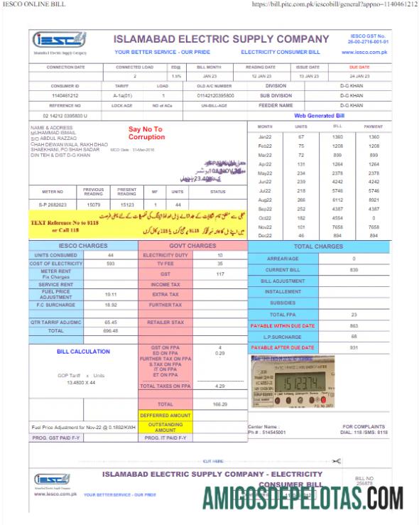 Dapat Diedit Pakistan IESC Tagihan Tagihan Word and PDF templat
