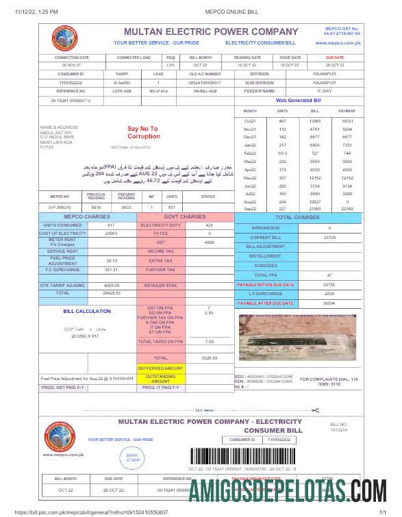 Realistis Pakistan MULTAN ELECTRIC POWER Tagihan Tagihan Word and PDF templat, versi 2