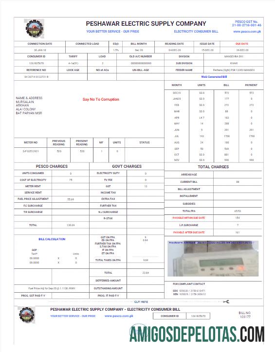 Premium Pakistan PESHAWAR ELECTRIC SUPPLY Perusahaan Tagihan Tagihan Word and PDF templat