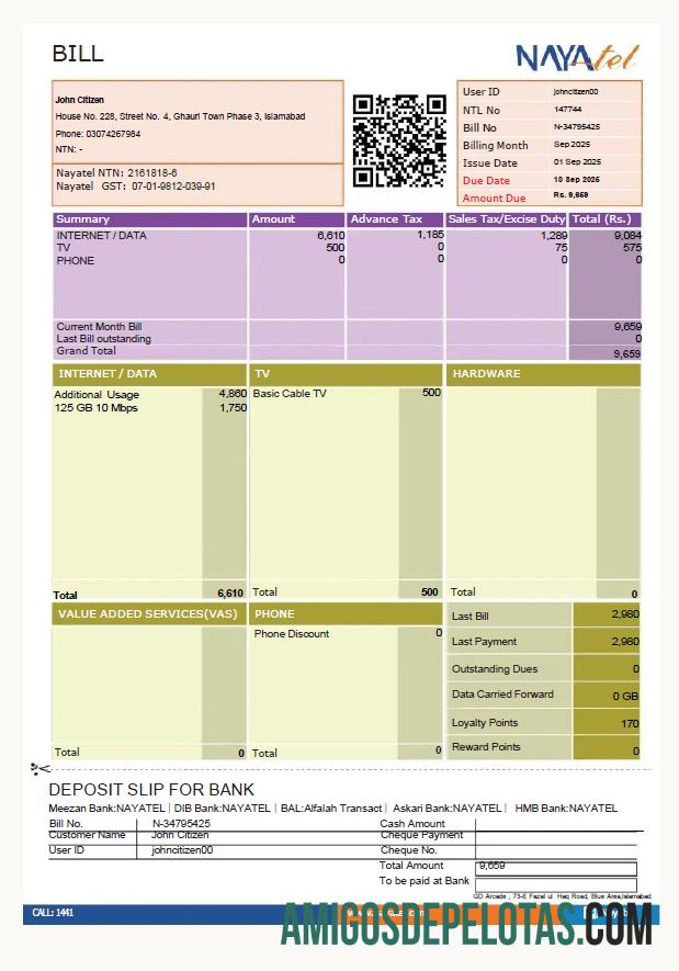 Berkualitas Pakistan NAYAtel Tagihan Tagihan templat in Word and PDF format