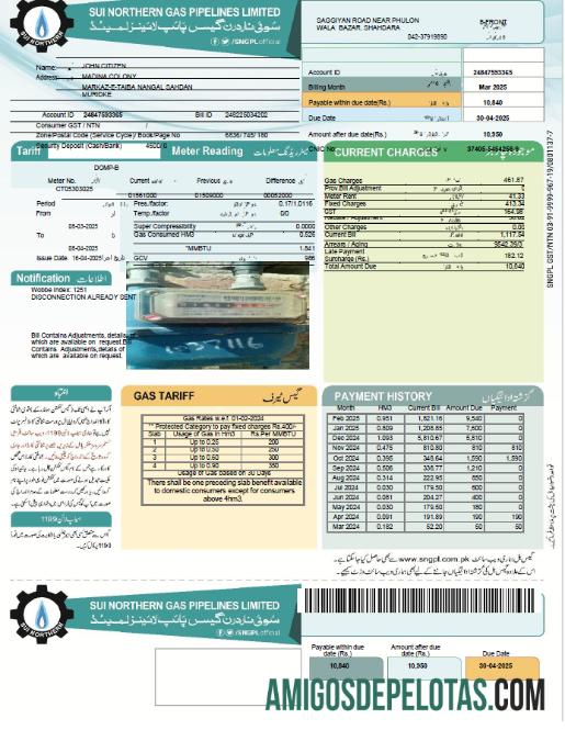 Profesional Pakistan Sui Northern Gas Pipelines Limited Tagihan Tagihan templat in Word and PDF format, versi 2
