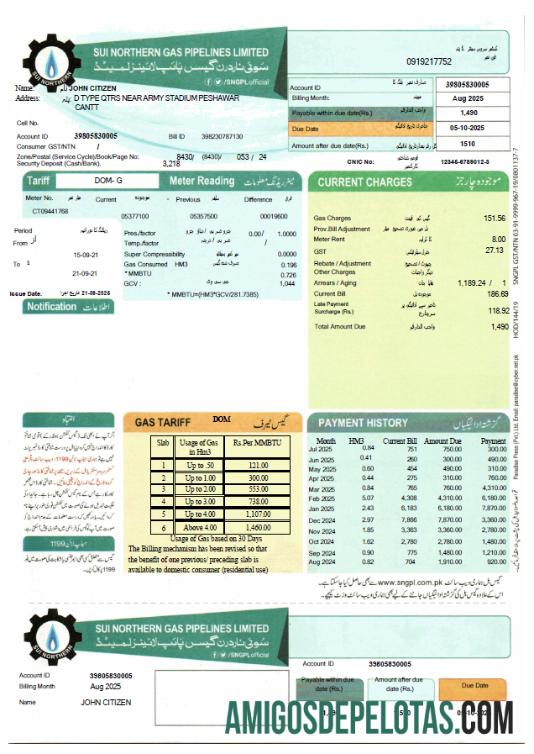 Dapat Diedit Pakistan Sui Northern Gas Pipelines Limited Tagihan Tagihan templat in Word and PDF format