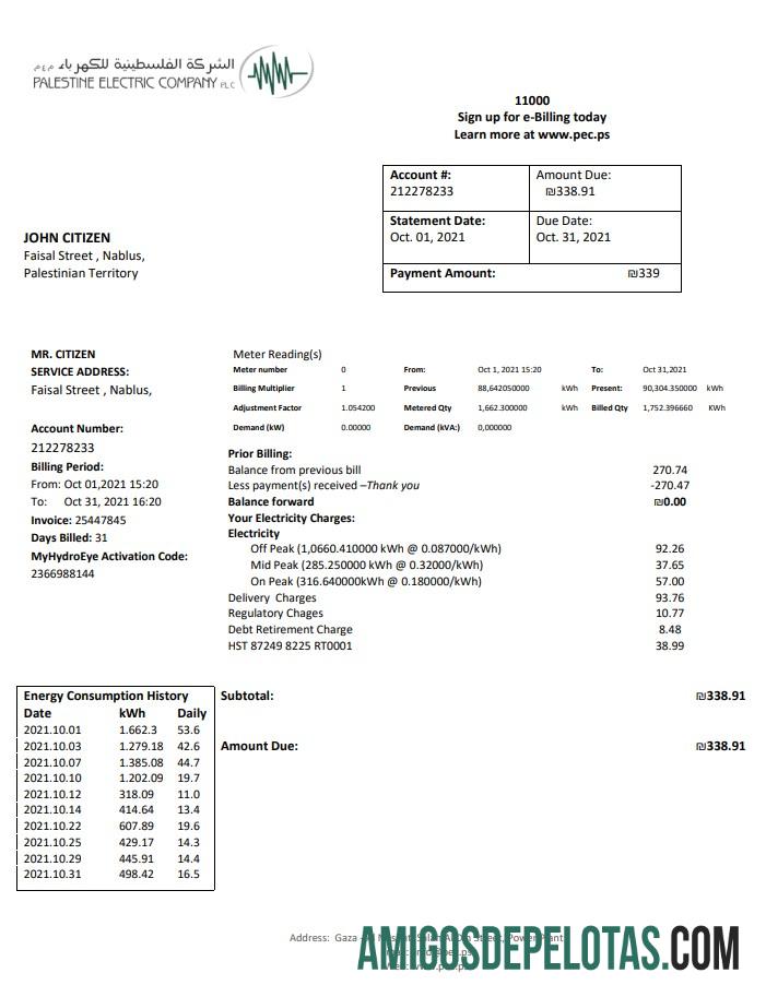Berkualitas Palestina Electric Perusahaan (PEC) Tagihan Tagihan templat in Word and PDF format