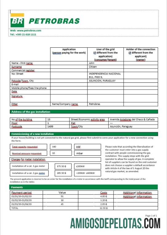 Paraguay Petrobras Paraguay Operations and Logistics Gas Perusahaan in Word format desain