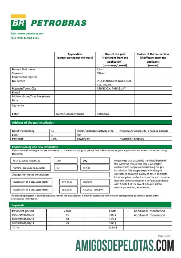 Premium Paraguay Petrobras Paraguay Operations and Logistics Gas Perusahaan Tagihan Tagihan templat in Word and PDF format