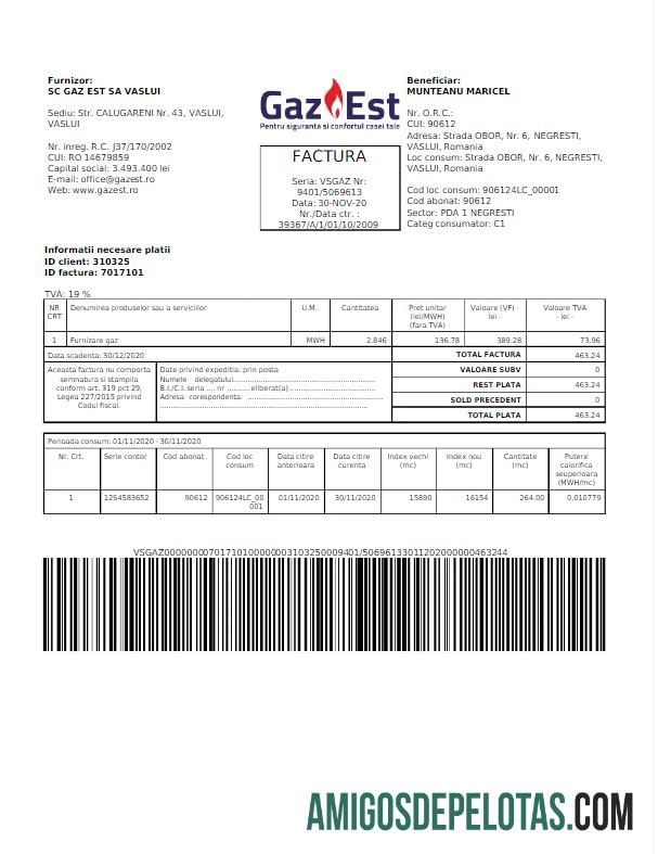 Premium Rumania GAZ EST Tagihan Tagihan Word and PDF templat