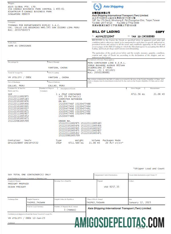 Profesional Singapura ASIA pengiriman Tagihan Tagihan Word and PDF templat