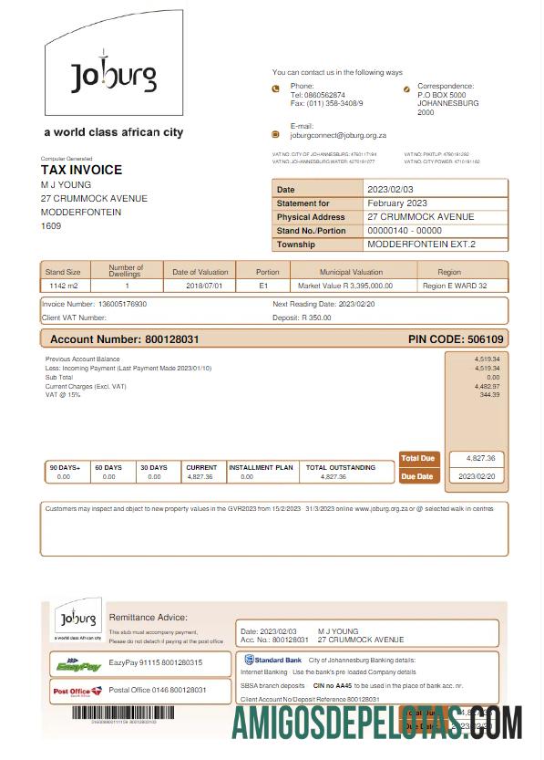 Premium Afrika Selatan JOBURG Tagihan Tagihan Word and PDF templat