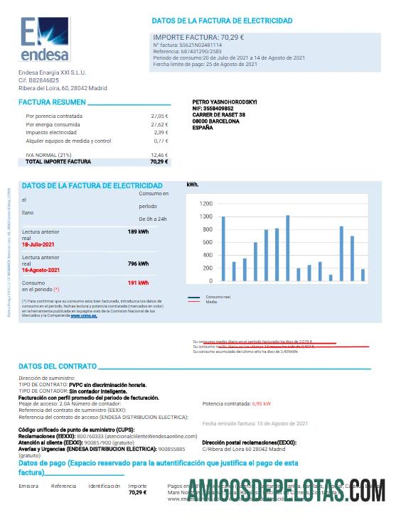 Premium Spanyol ENDESA Tagihan Tagihan Word and PDF templat