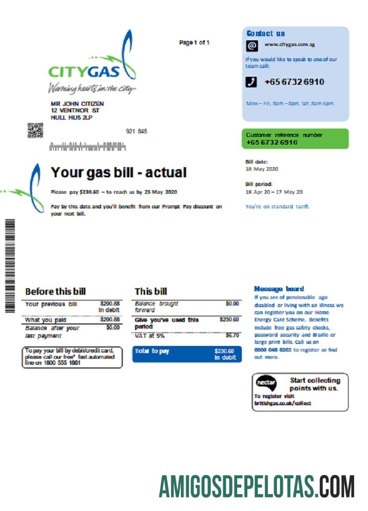 Berkualitas Singapura City Gas Tagihan Tagihan templat in Word and PDF format