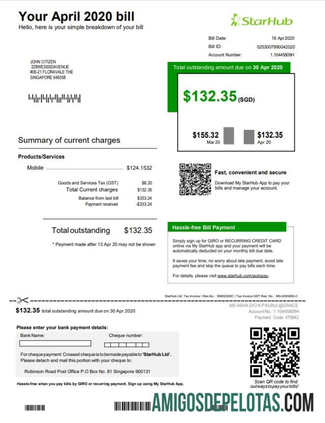 Profesional Singapura StarHub Tagihan Tagihan templat in Word and PDF format