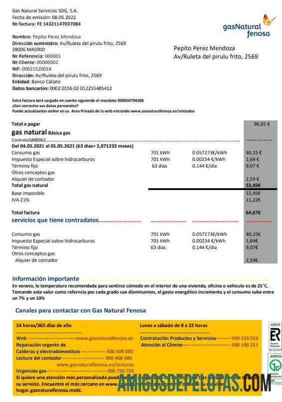 Premium Spanyol gasNatural fenosa Tagihan Tagihan templat in Word and PDF format