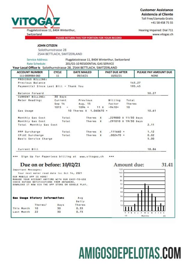 Premium Swiss Vitogaz Swiss AG Tagihan Tagihan templat, fully Dapat Diedit in Word and PDF format
