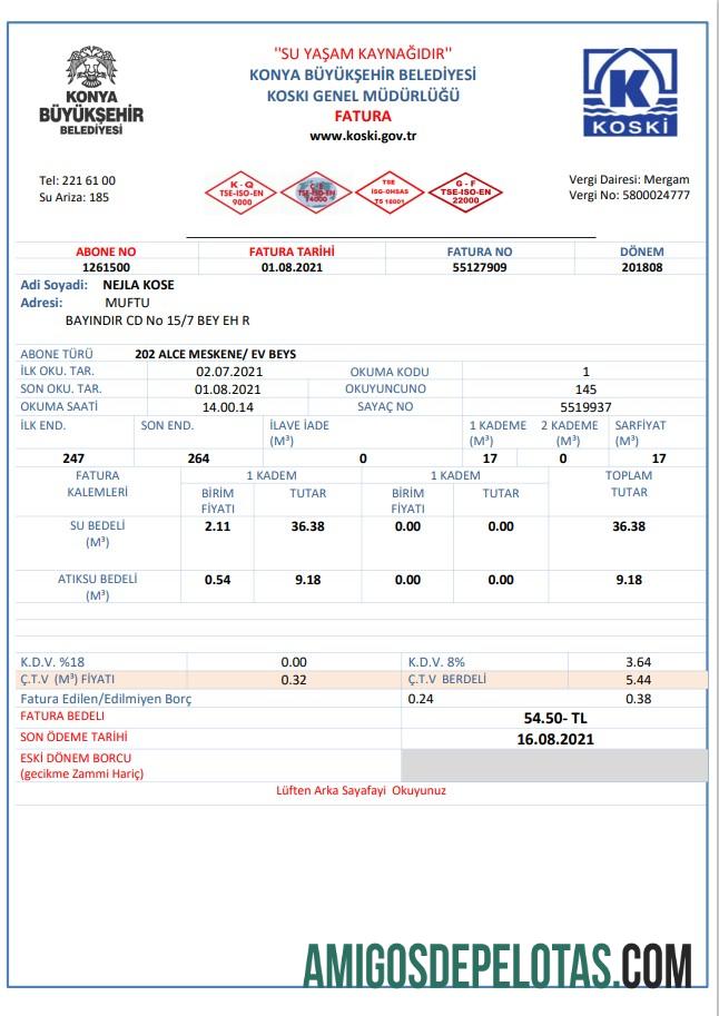 Profesional Turki Air Tagihan Tagihan templat in Word and PDF format