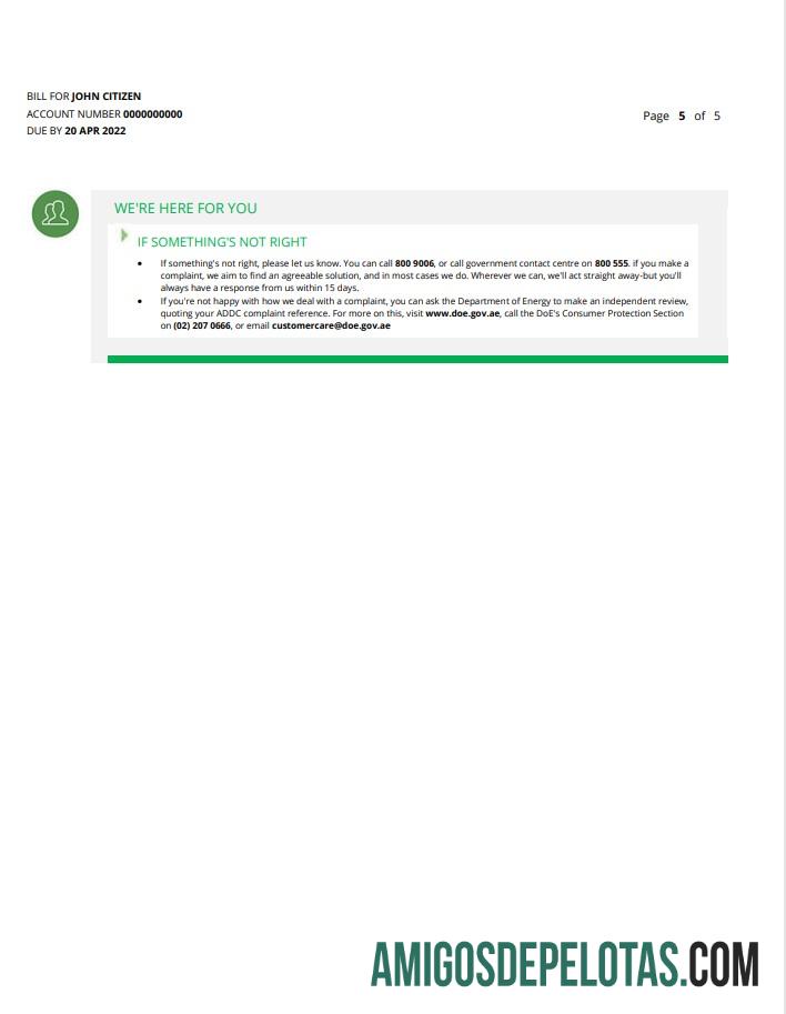 Premium UEA Ras Al Khaimah Al Ain Distribution Co. Word and PDF Tagihan Tagihan templat (5 pages) 5