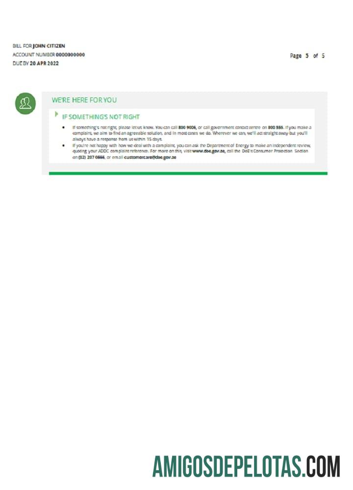 Profesional UEA Sharjah Al Ain Distribution Co. Word and PDF Tagihan Tagihan templat (5 pages) 5