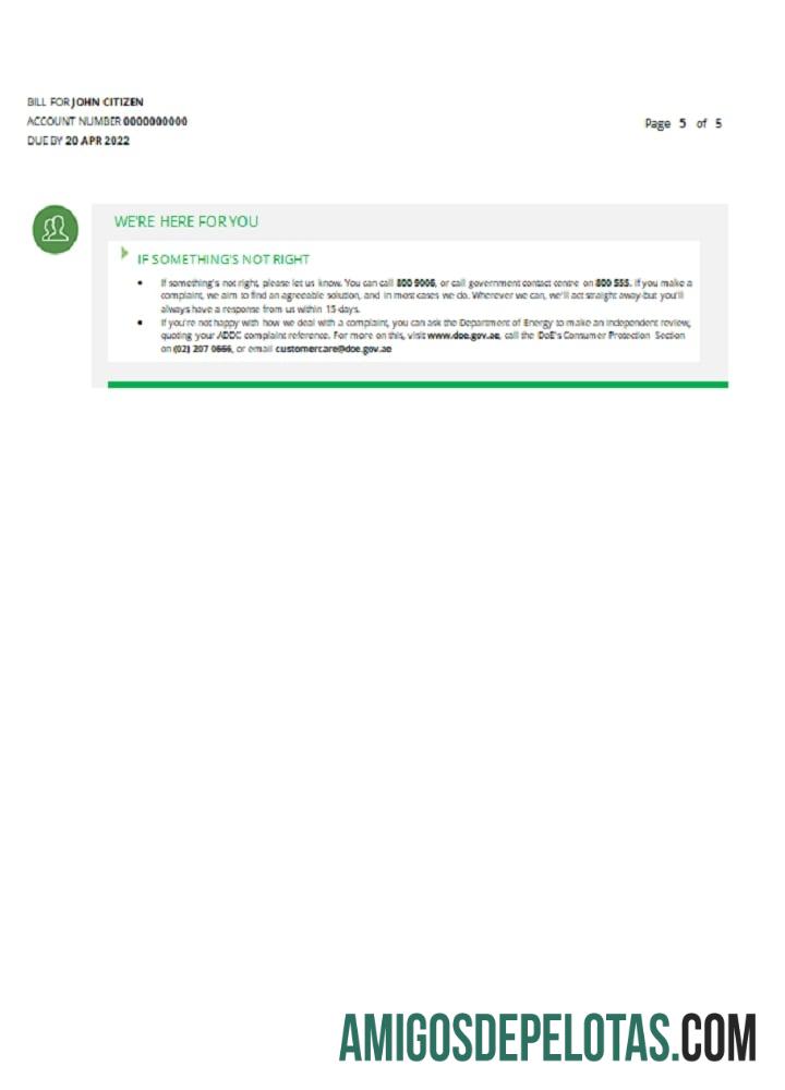 Dapat Diedit UEA Umm Al Quwain Al Ain Distribution Co. Word and PDF Tagihan Tagihan templat (5 pages) 5