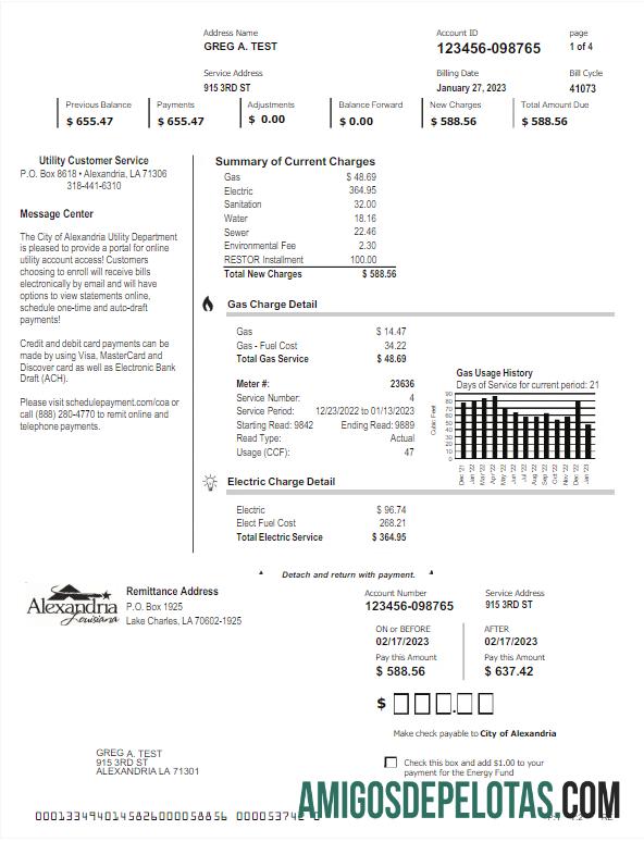 Profesional AS ALEXANDRIA Tagihan Tagihan Word and PDF templat