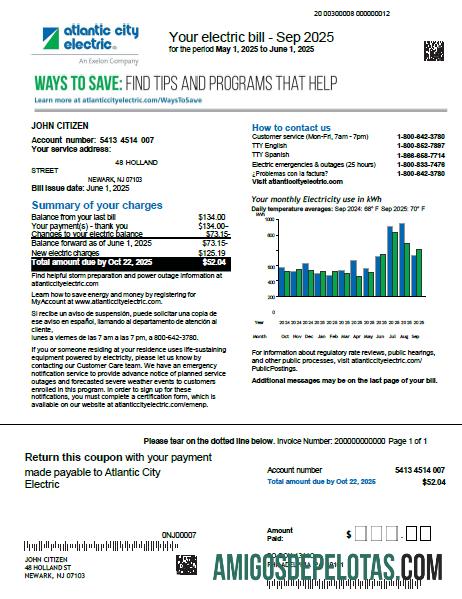 Dapat Diedit AS Atlantic City Electric Tagihan Tagihan templat in Word and PDF format, versi 2