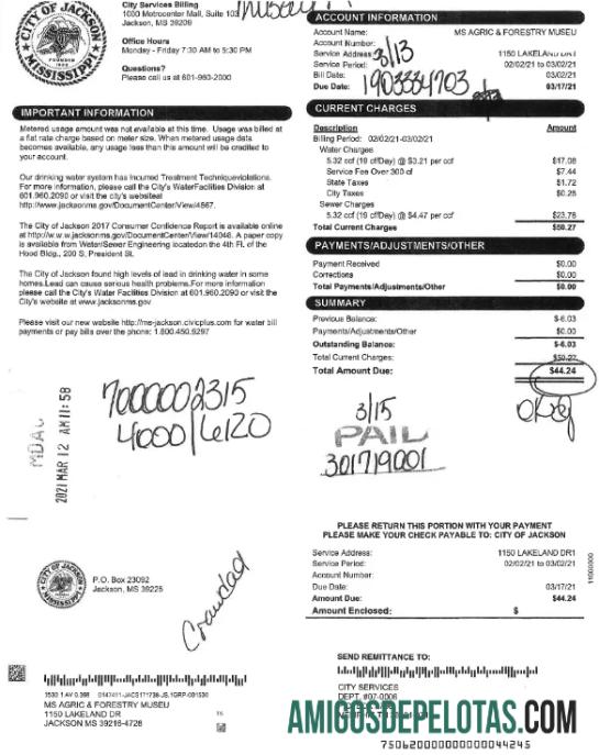 Realistis AS CITY OF JACKSON Tagihan Tagihan Word and PDF templat