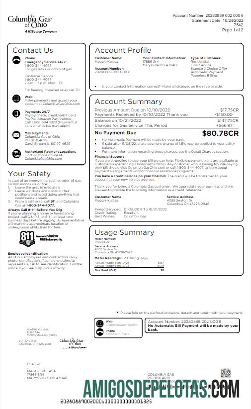 Premium AS COLUMBIA Gas OF OHIO Tagihan Tagihan Word and PDF templat