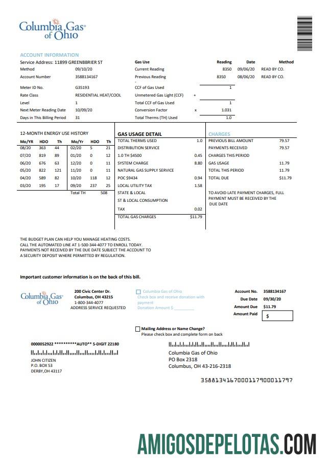 Realistis AS Columbia Gas of Ohio Tagihan Tagihan templat in Word and PDF format