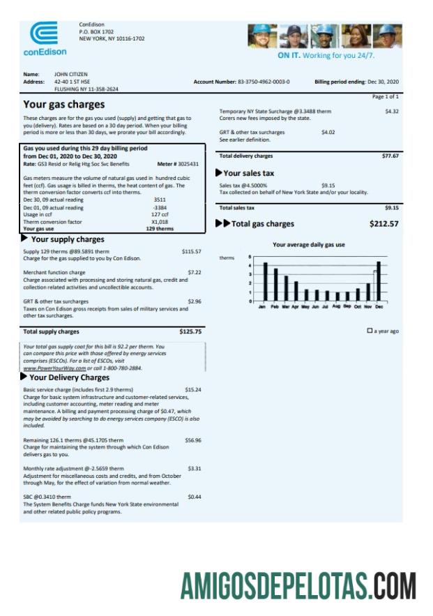 Dapat Diedit AS Con Edison Gas Tagihan Tagihan templat in Word and PDF format