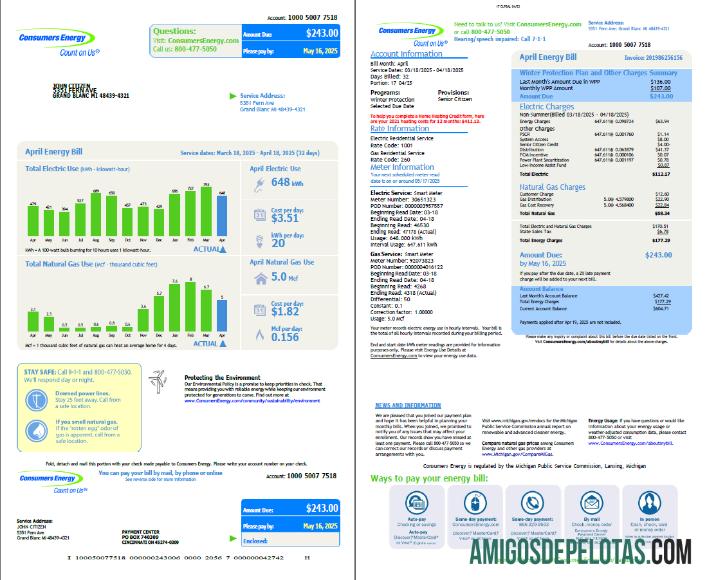 Dapat Diedit AS Consumers Energy Tagihan Tagihan templat in Word and PDF format, 2 pages, vesion 2