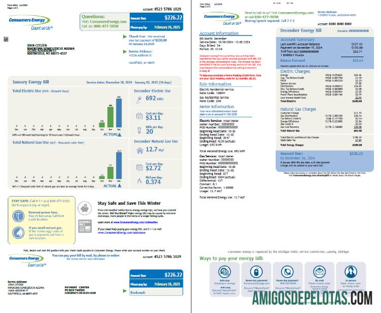 Dapat Diedit AS Consumers Energy Tagihan Tagihan templat in Word and PDF format, 2 pages