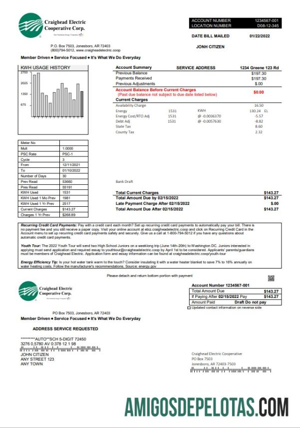 Berkualitas AS Craighead Electric Tagihan Tagihan templat in Word and PDF format