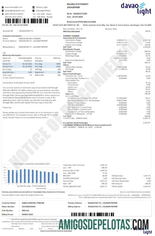 Realistis AS DAVAO LIGHT Tagihan Tagihan Word and PDF templat